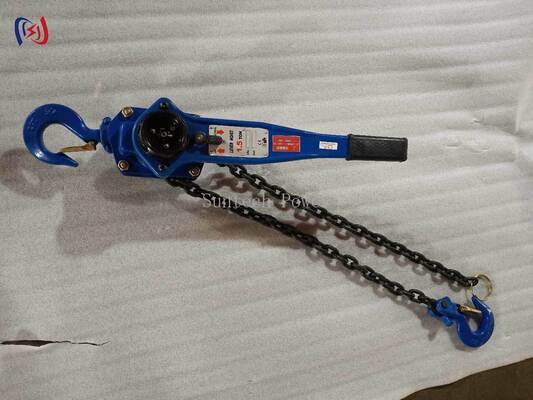 Durable Chain Type Handle Hoist with 5-90KN Rated Load, 1.5m Standard Lifting Height, and 1-3ROW Lifting Chain for Utility Substation Projects