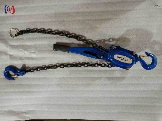 Durable Chain Type Handle Hoist with 5-90KN Rated Load, 1.5m Standard Lifting Height, and 1-3ROW Lifting Chain for Utility Substation Projects