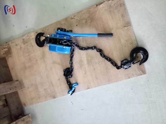 5-90KN Rated Load Chain Type Handle Hoist with 1.5M Standard Lifting Height for Energy Independent Operation