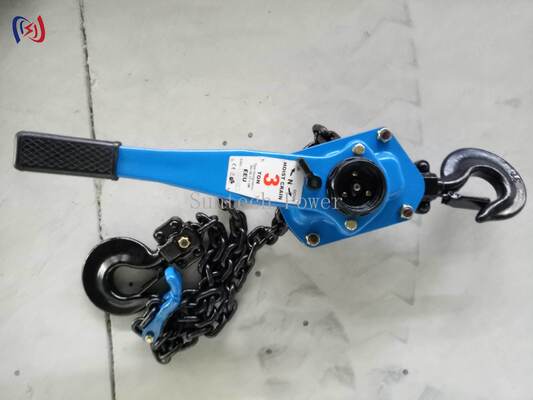 5-90KN Rated Load Chain Type Handle Hoist with 1.5M Standard Lifting Height for Energy Independent Operation