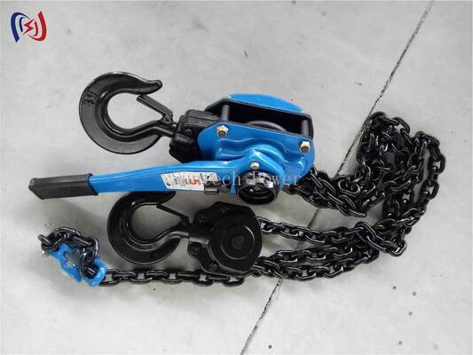 5-90KN Rated Load Chain Type Handle Hoist with 1.5M Standard Lifting Height for Energy Independent Operation