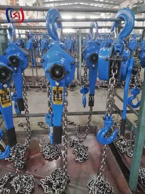 5-90KN Rated Load Chain Type Handle Hoist with 1.5M Standard Lifting Height for Energy Independent Operation